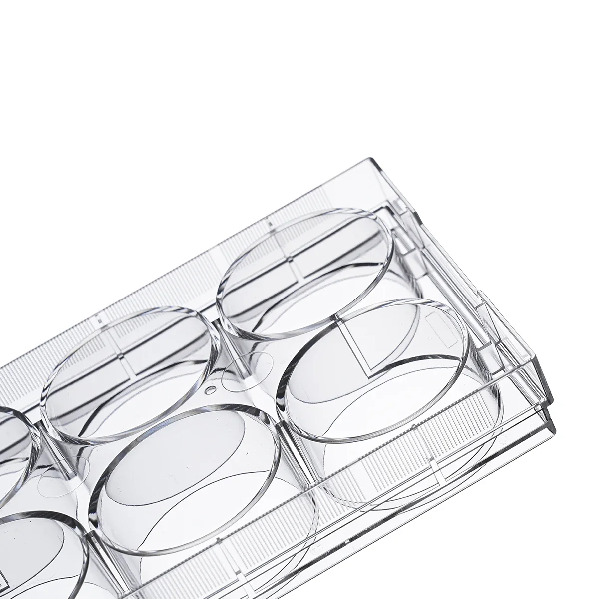 Health Wellness Lab - Haier Biomedical Laboratory Supplies Wholesale Price