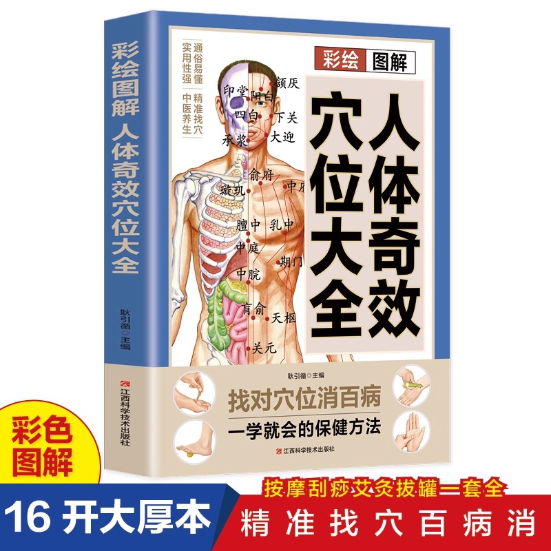 Health & Wellness Là Gì - Acupoint Massage & TCM Health Preservation