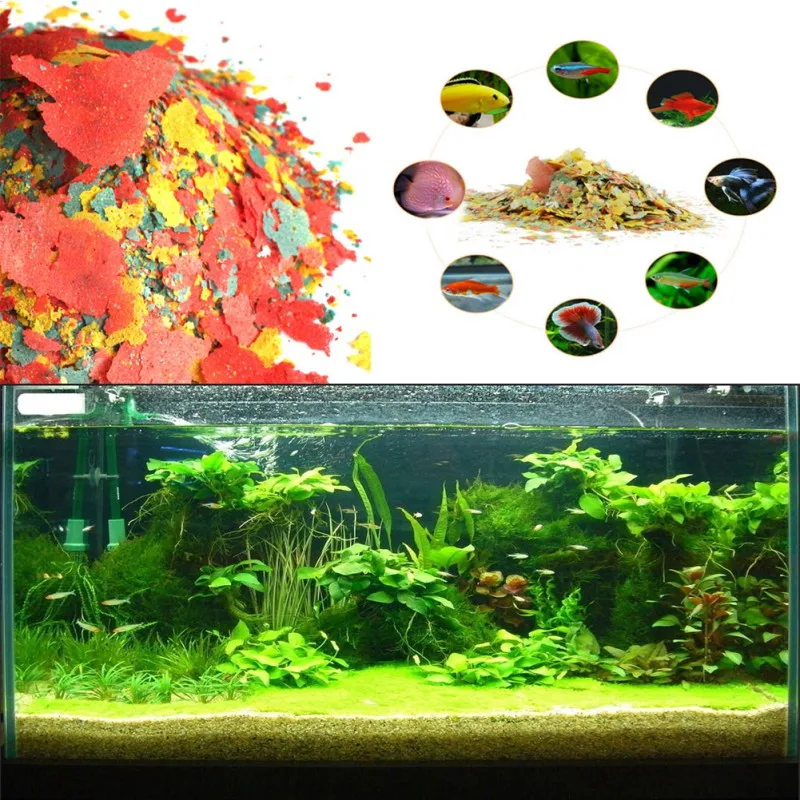 NEW Healthy Fish Food Flakes F - Health Wellness Items recension och pris