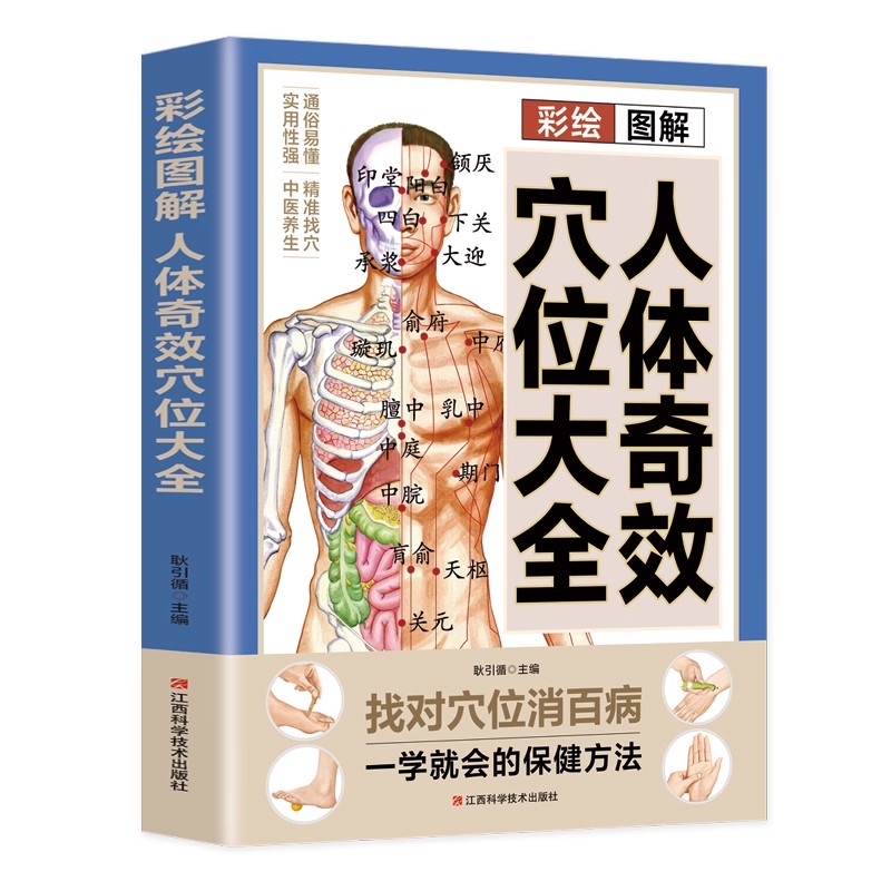 Complete Guide to Acupoint Mas - Health & Wellness Là Gì recension och pris