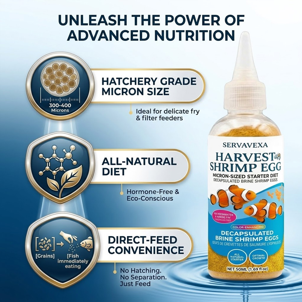 High Protein Fish Food for Bet - Health Wellness Items recension och pris
