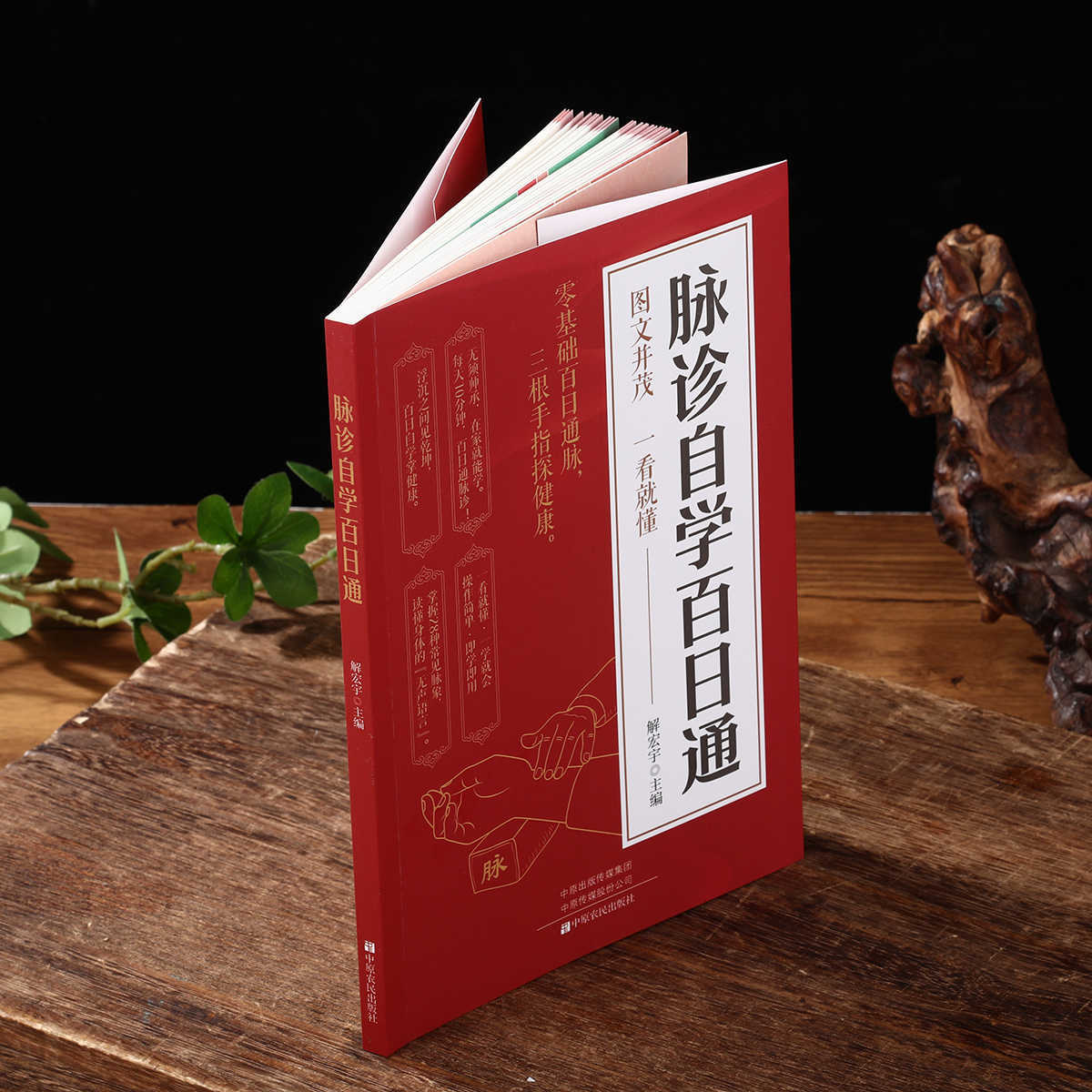 Pulse Diagnosis Self Study Hun - Health & Wellness Là Gì recension och pris