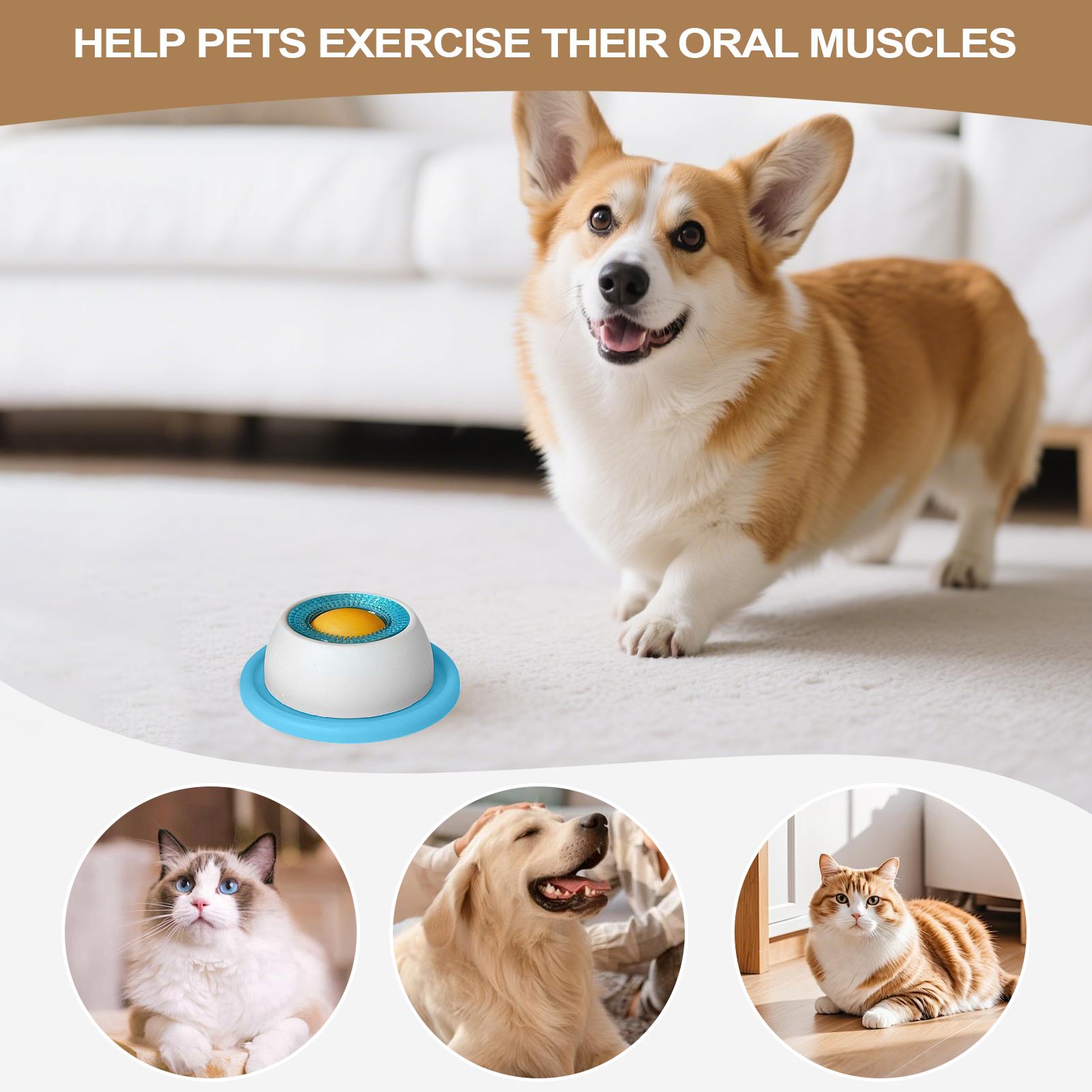 Dog Treat Toy Pet Feeding Acce - Health Wellness Items recension och pris